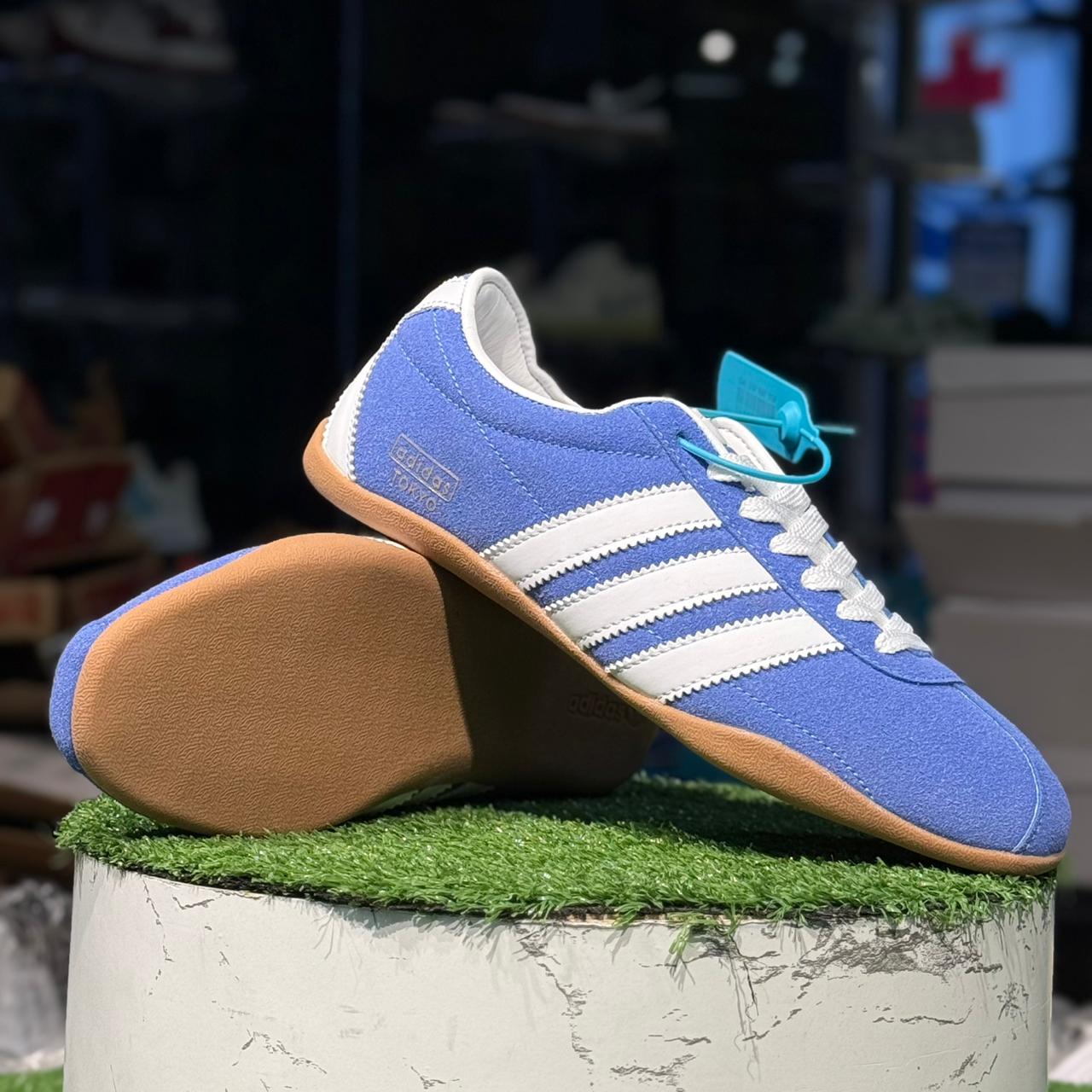 Adidas Tokyo Blue Bird